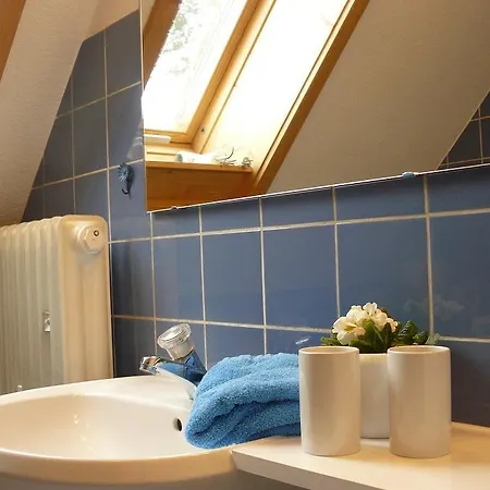 Ferienwohnung Reinhardt * Triberg im Schwarzwald